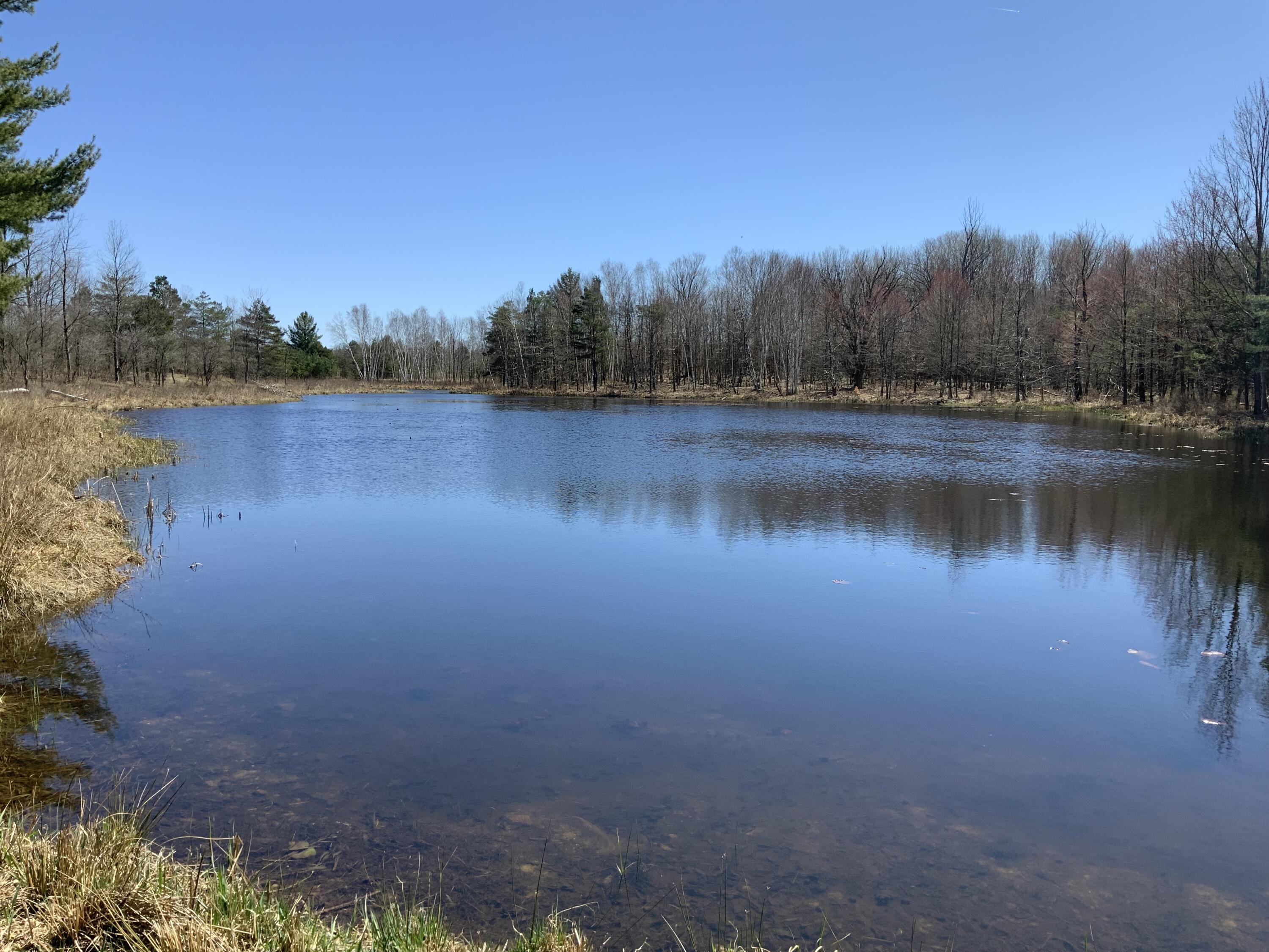 16583 10 Mile Road Reed City, MI 49677 - Photo 32 of 46 IMG_2017