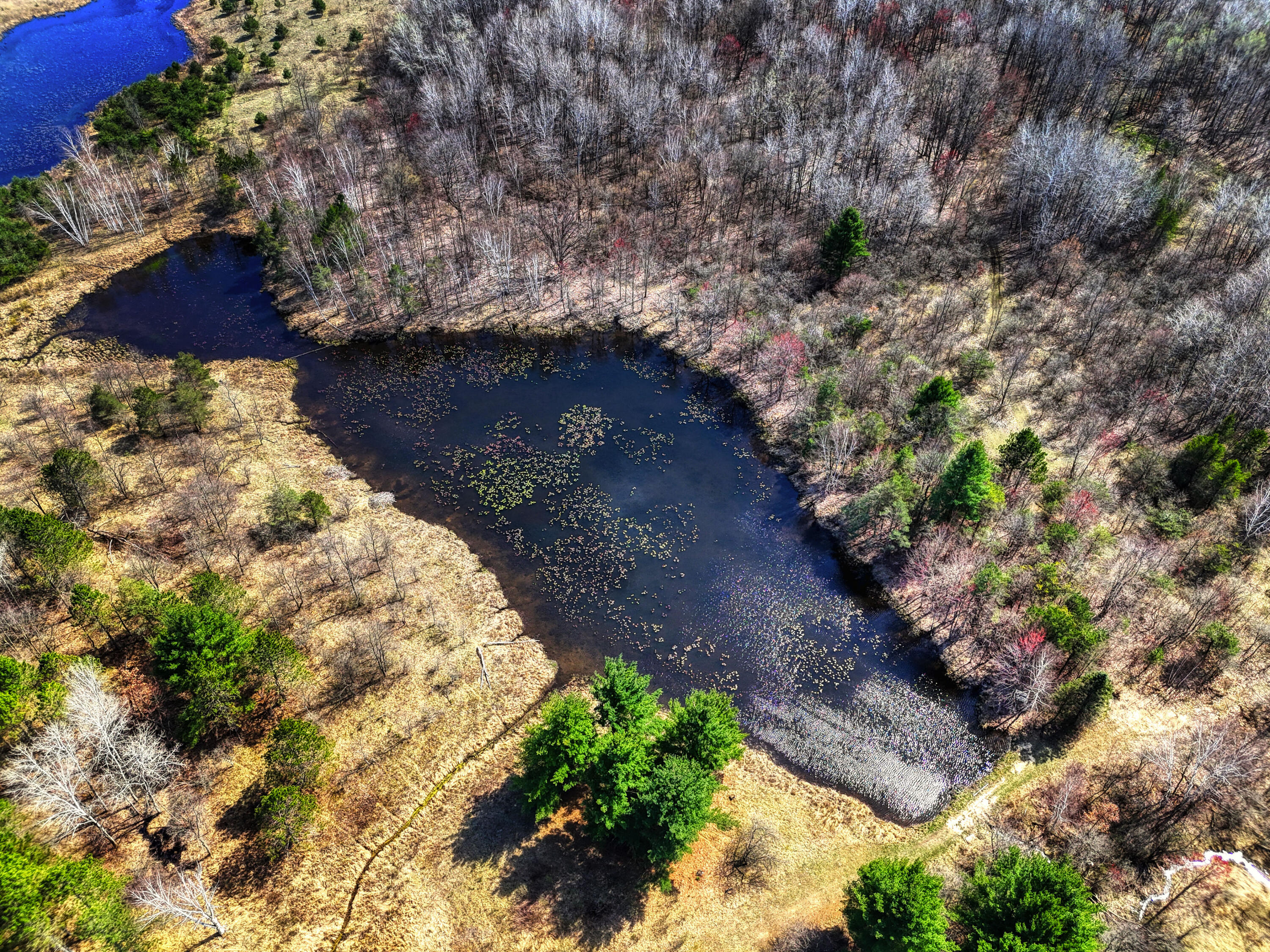 16583 10 Mile Road Reed City, MI 49677 - Photo 36 of 46 DJI_20240316114510_0341_D