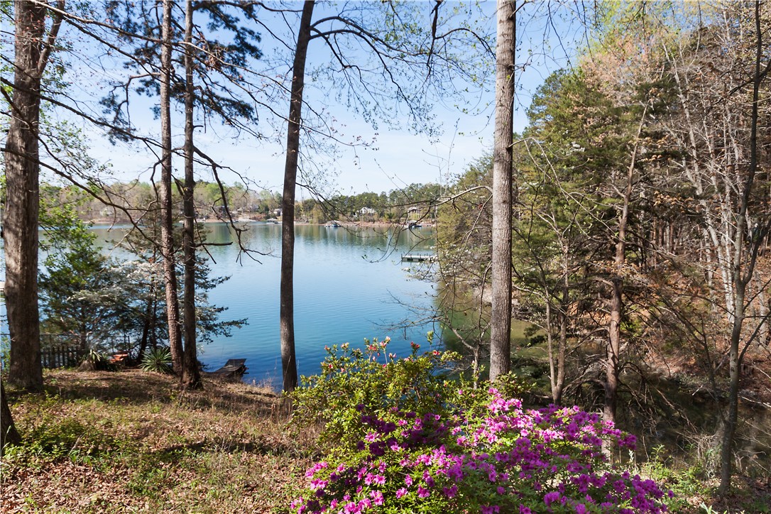 320 Petty Road Seneca, SC 29672 - Photo 3 of 49 Gallery Image 3