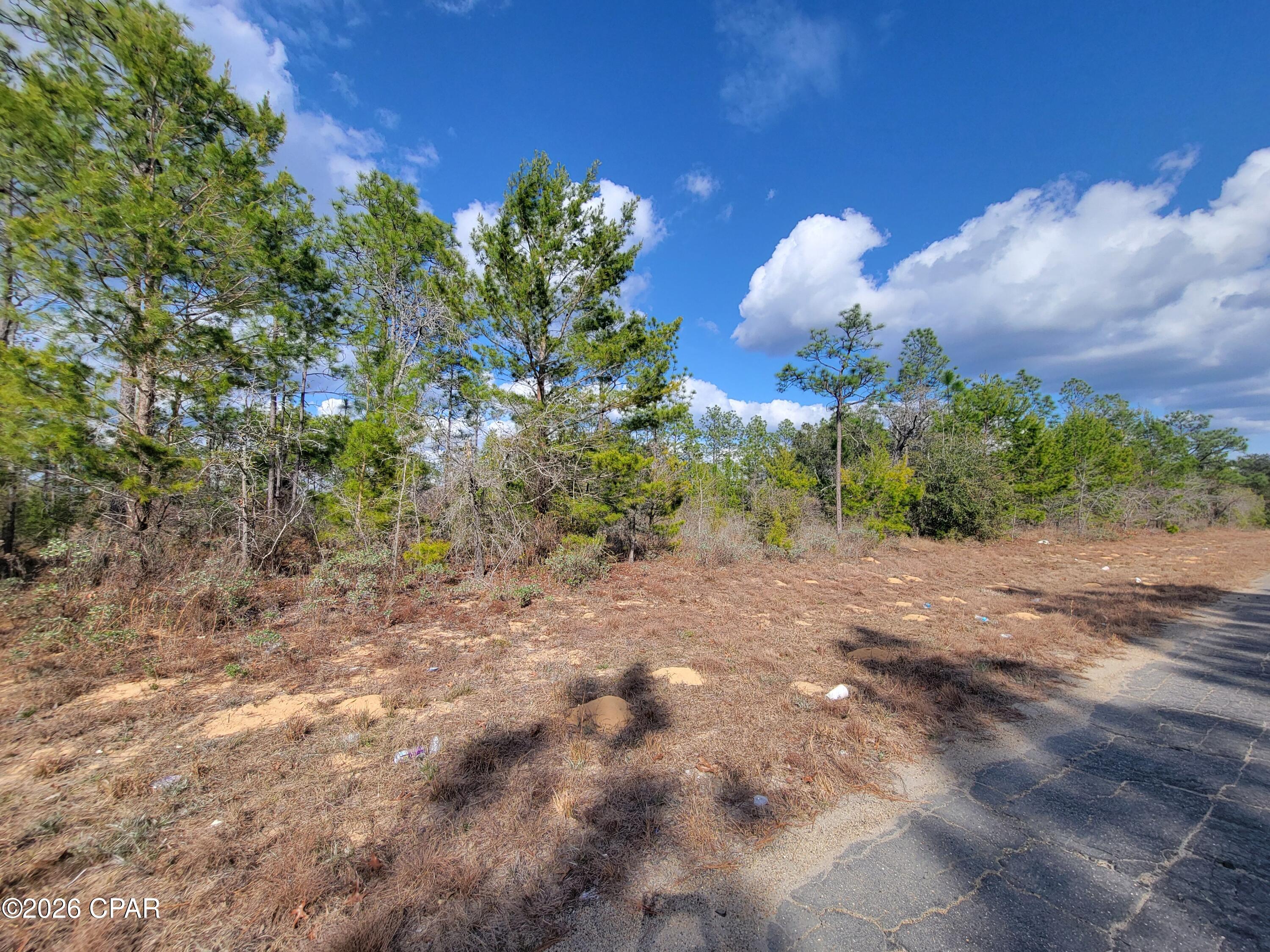 Tbd Windbrook Street Chipley, FL 32428 - Photo 2 of 5