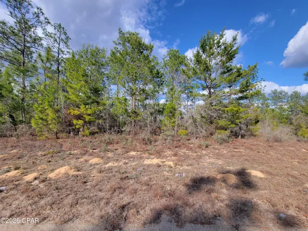$14,500 | Tbd Windbrook Street, Chipley, FL 32428