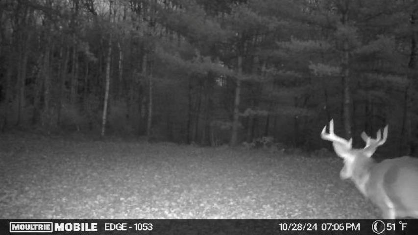 Vl Kolarvic Road Manton, MI 49663 - Photo 18 of 28