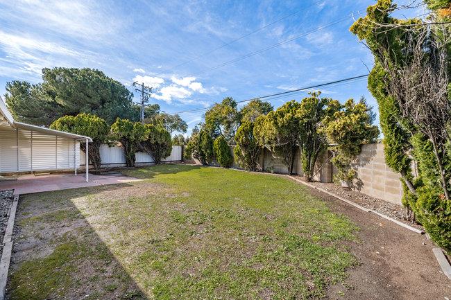 28207 Rochelle Avenue Hayward, CA 94544 - Photo 23 of 27 a view of a yard with plants and a tree