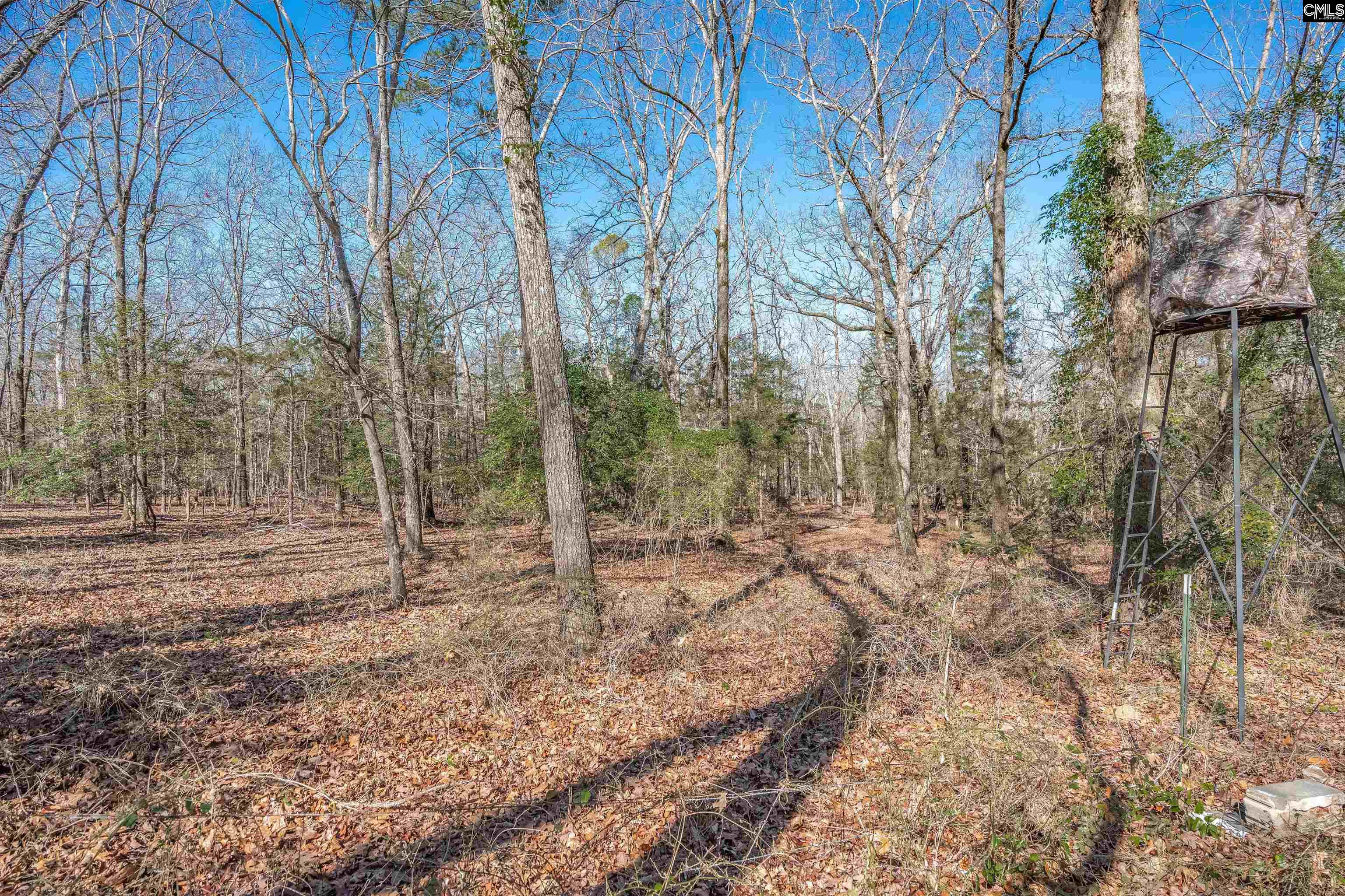 3600 Kennerly Road Irmo, SC 29063 - Photo 31 of 70