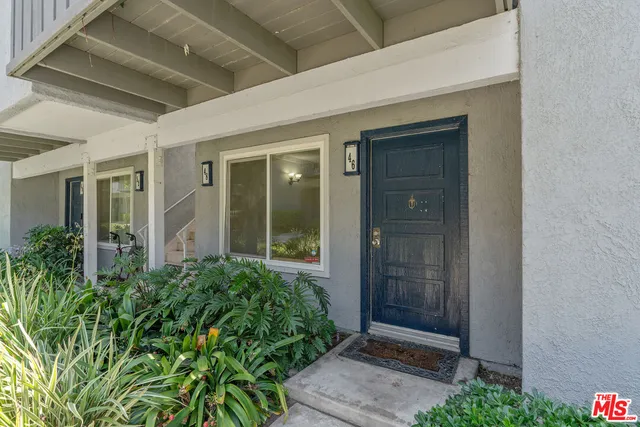 view of backyard with potted plants