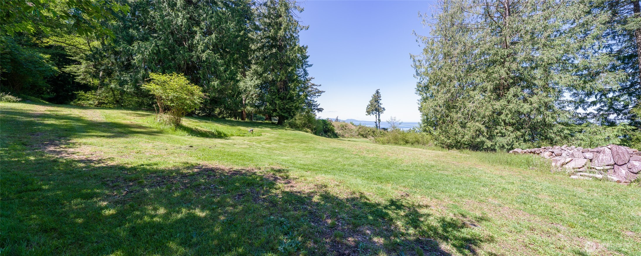 463 Wright Road Orcas Island, WA 98245 - Photo 22 of 40 a view of a field with an tree