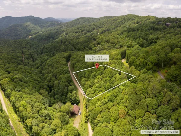 $9,500 | 0 Tearshirt Lane, Unit 268, Mars Hill, NC 28754