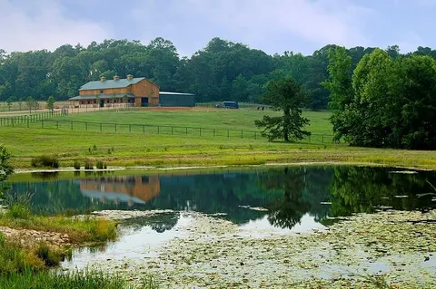 a view of a lake with a yard
