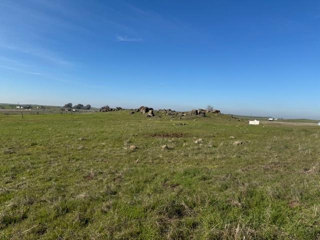 34008 Heiskell Drive Raymond, CA 93653 - Photo 9 of 19 a view of a large trees with beach in background