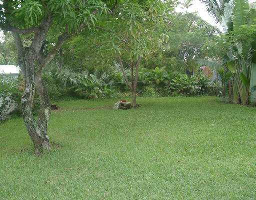 124 Northwest 10th Street Boca Raton, FL 33432 - Photo 4 of 16 a view of a field with a tree