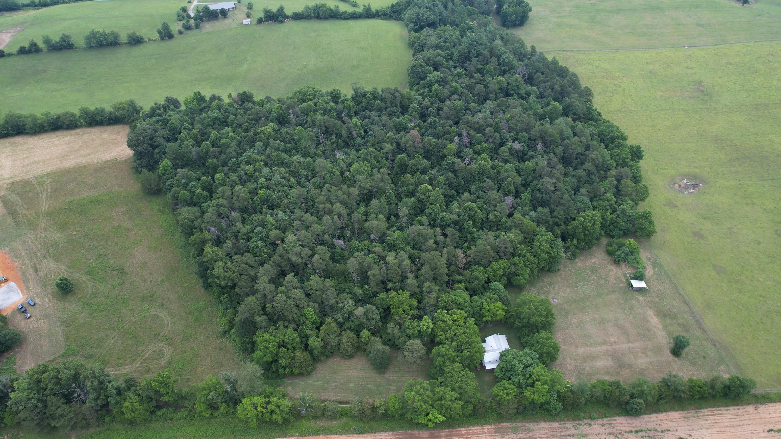 1400 Greystone Road Greeneville, TN 37743 - Photo 30 of 31 30