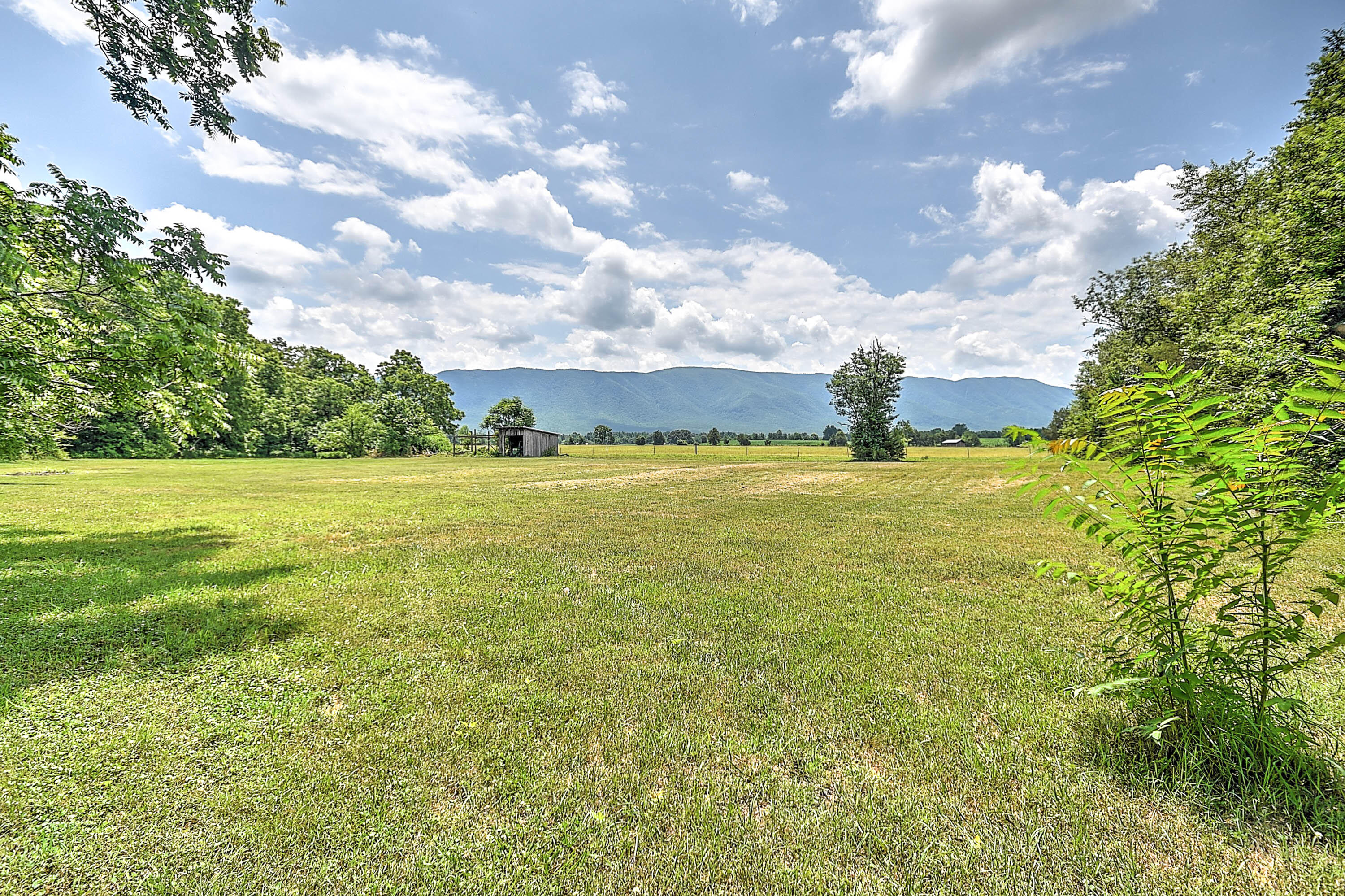 1400 Greystone Road Greeneville, TN 37743 - Photo 5 of 31 5