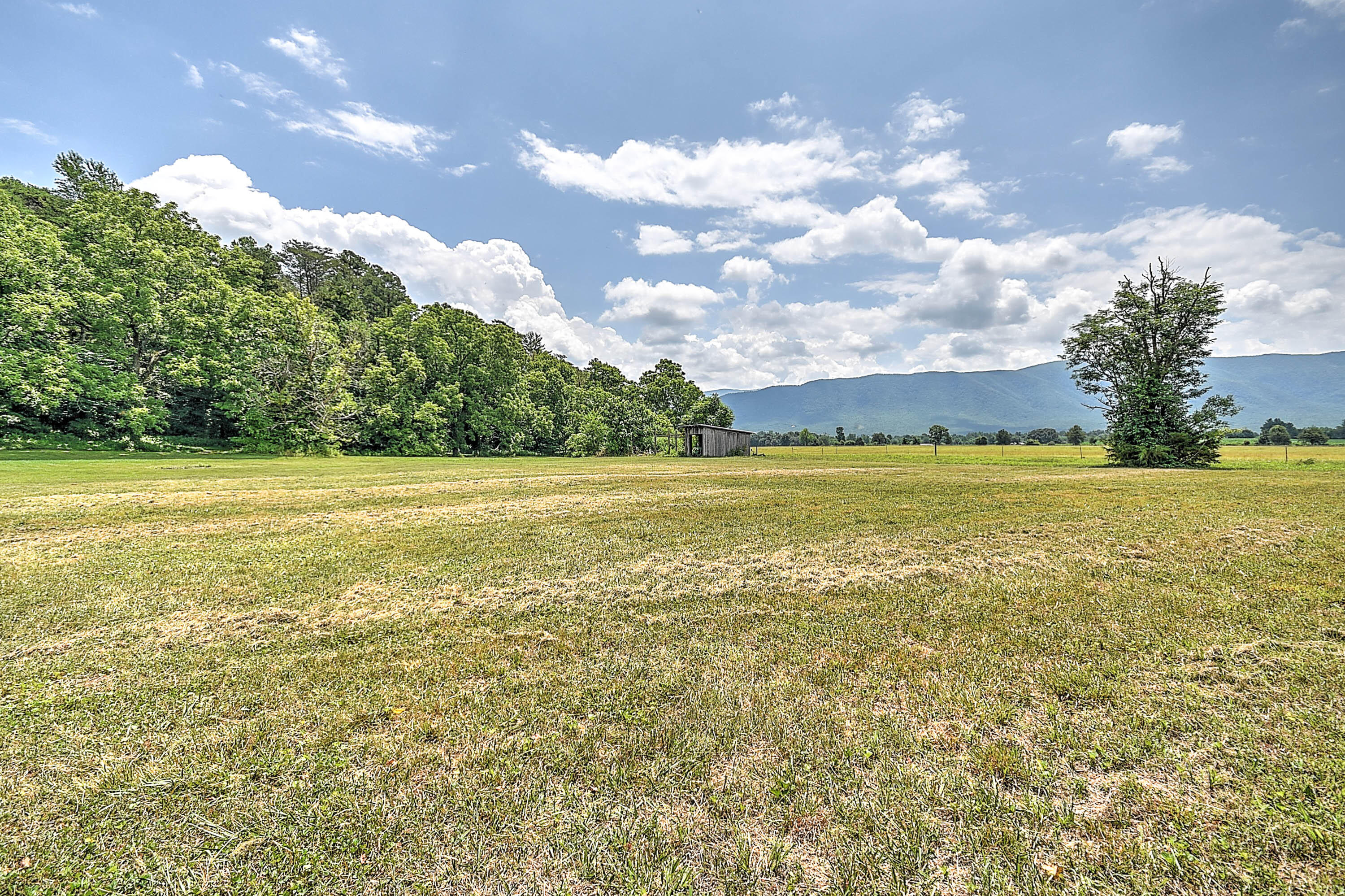1400 Greystone Road Greeneville, TN 37743 - Photo 6 of 31 6