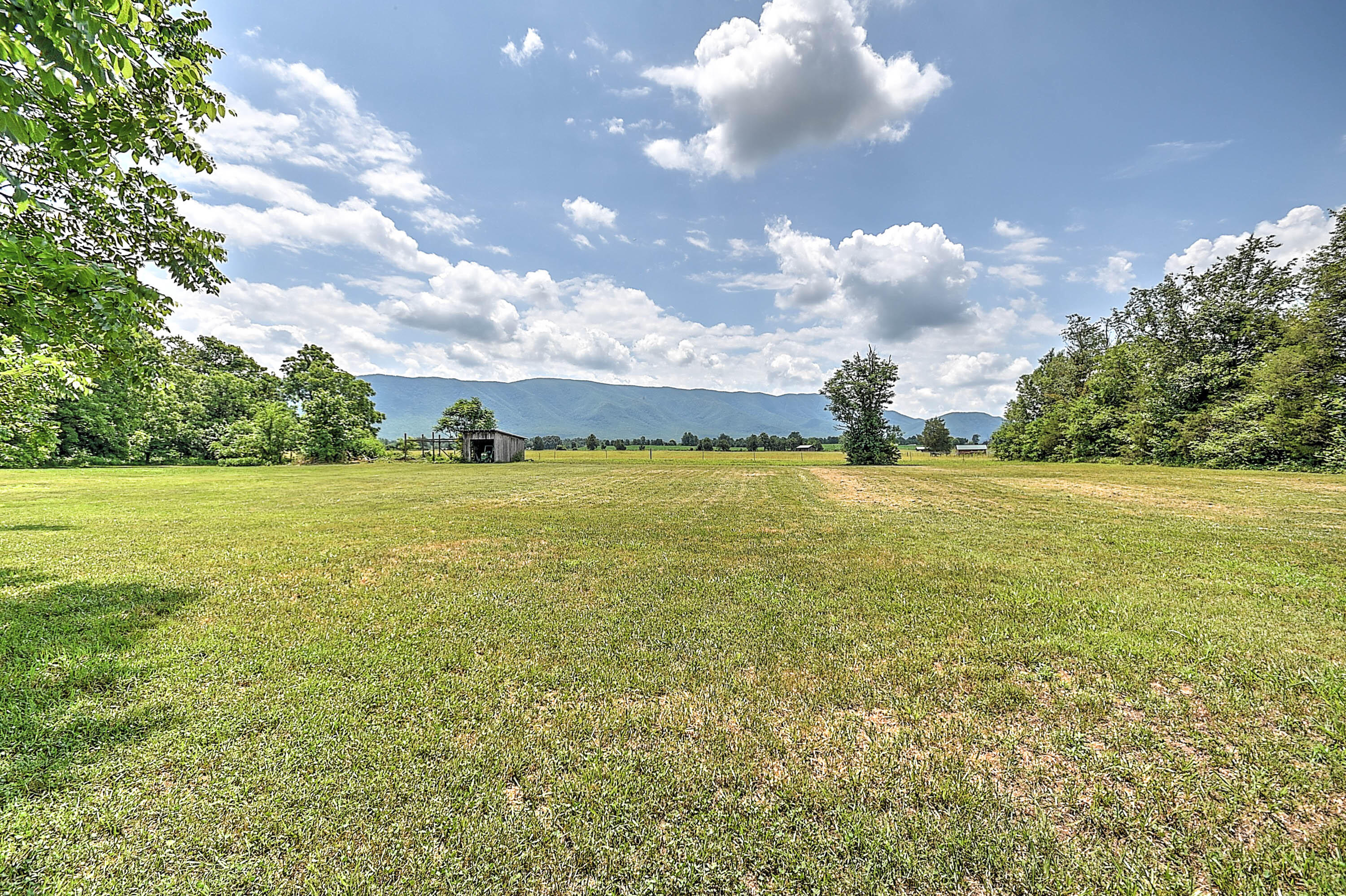 1400 Greystone Road Greeneville, TN 37743 - Photo 7 of 31 7
