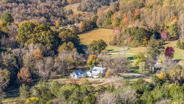 a view of a back yard with green space
