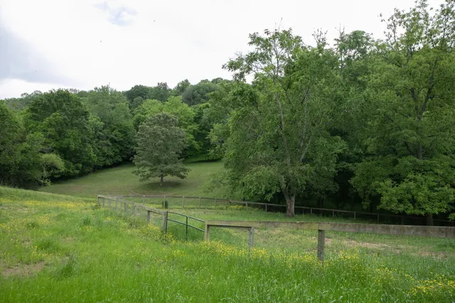 $1,295,000 | 4923 Blue Creek Road, Lynnville, TN 38472
