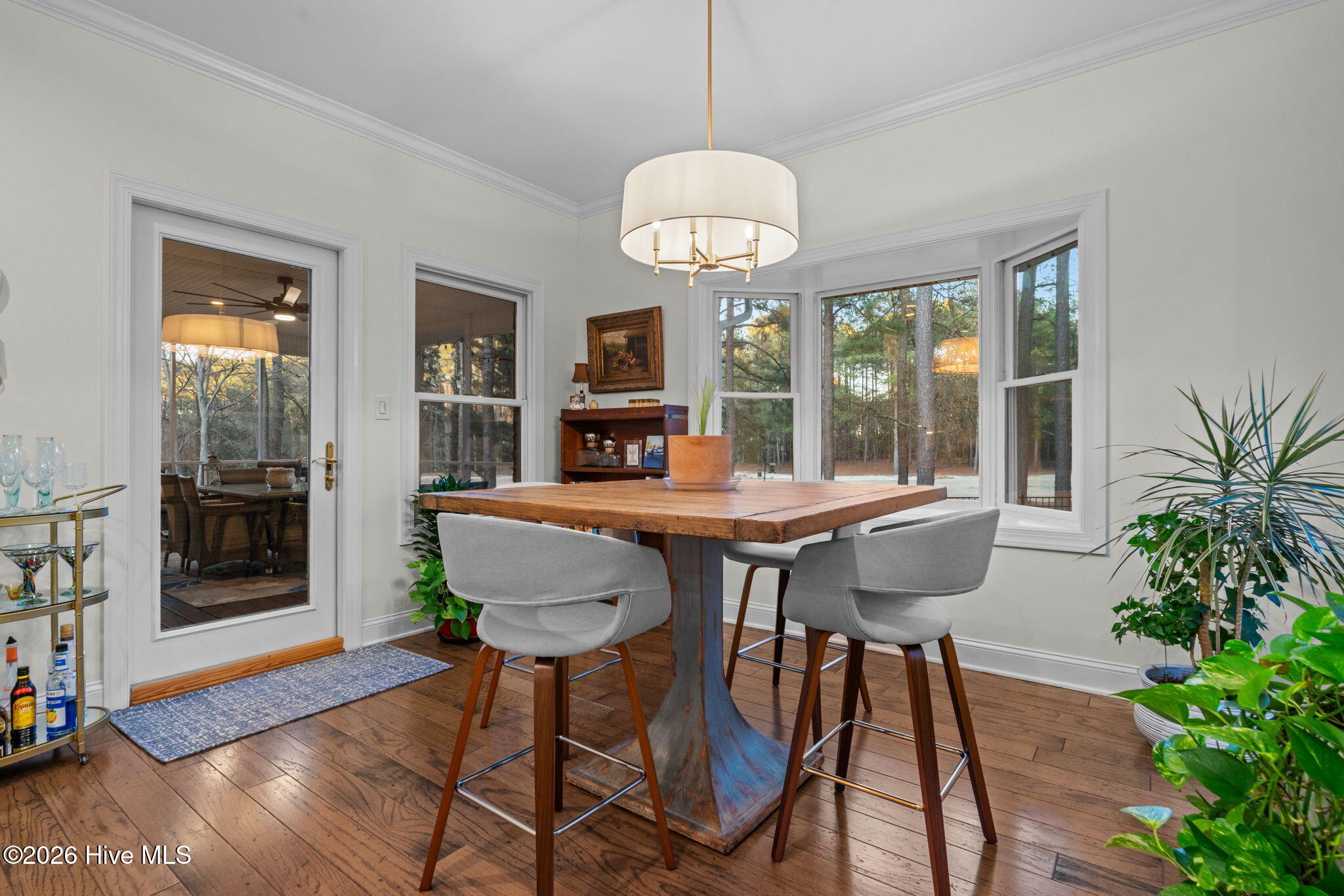 30181 East Lake Road Wagram, NC 28396 - Photo 39 of 60 43-web-or-mls-DSC07873