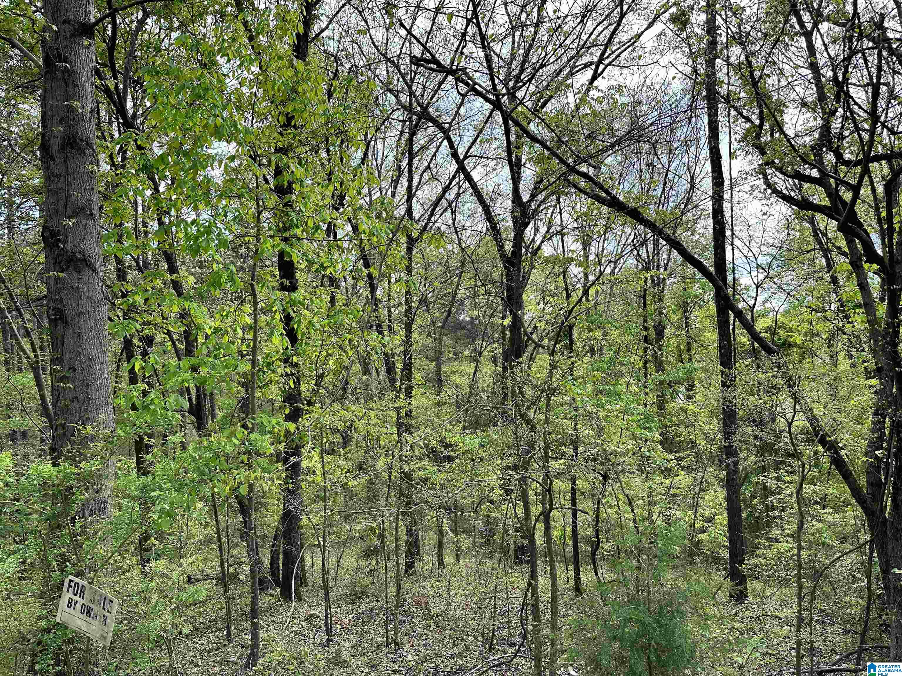 Lakeview Drive, Unit 53 Alpine, AL 35014 - Photo 1 of 35