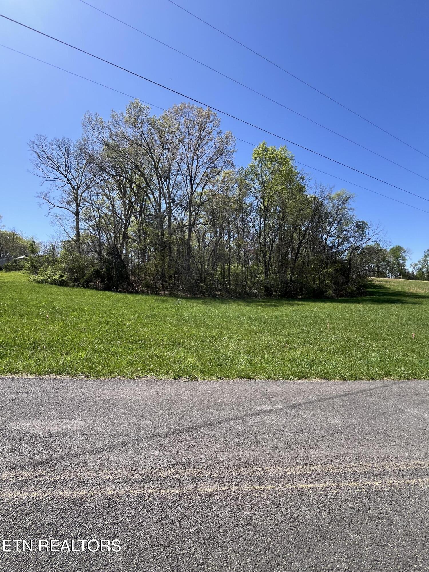 Bruner Road Strawberry Plains, TN 37871 - Photo 3 of 11 Bruner 2