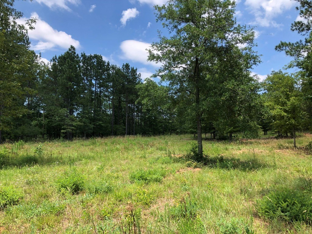 6.33-acres Implement Road Aiken, SC 29803 - Photo 9 of 18
