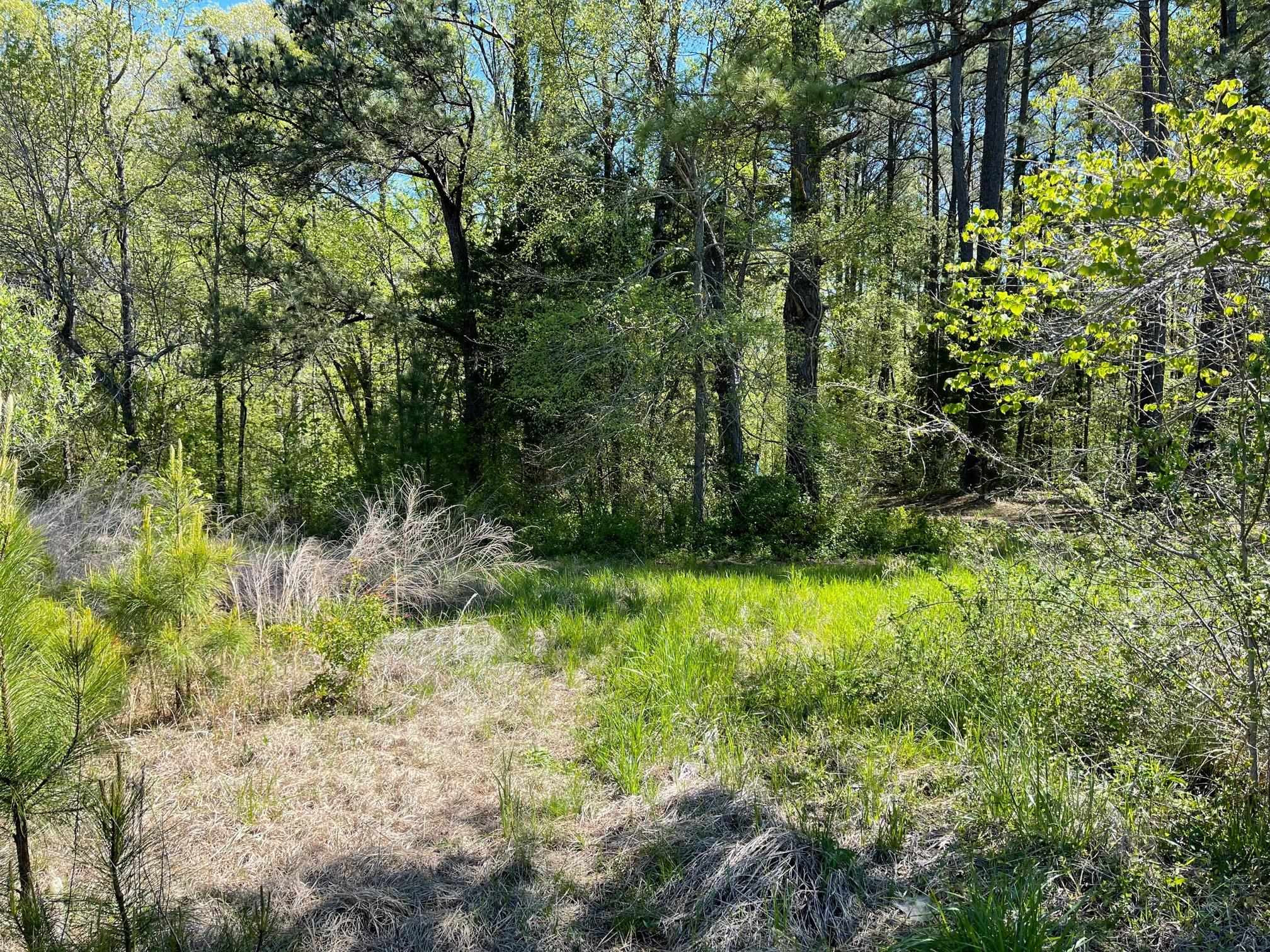 Lot 2 Farrington Point Road Chapel Hill, NC 27517 - Photo 2 of 10 Photo 2