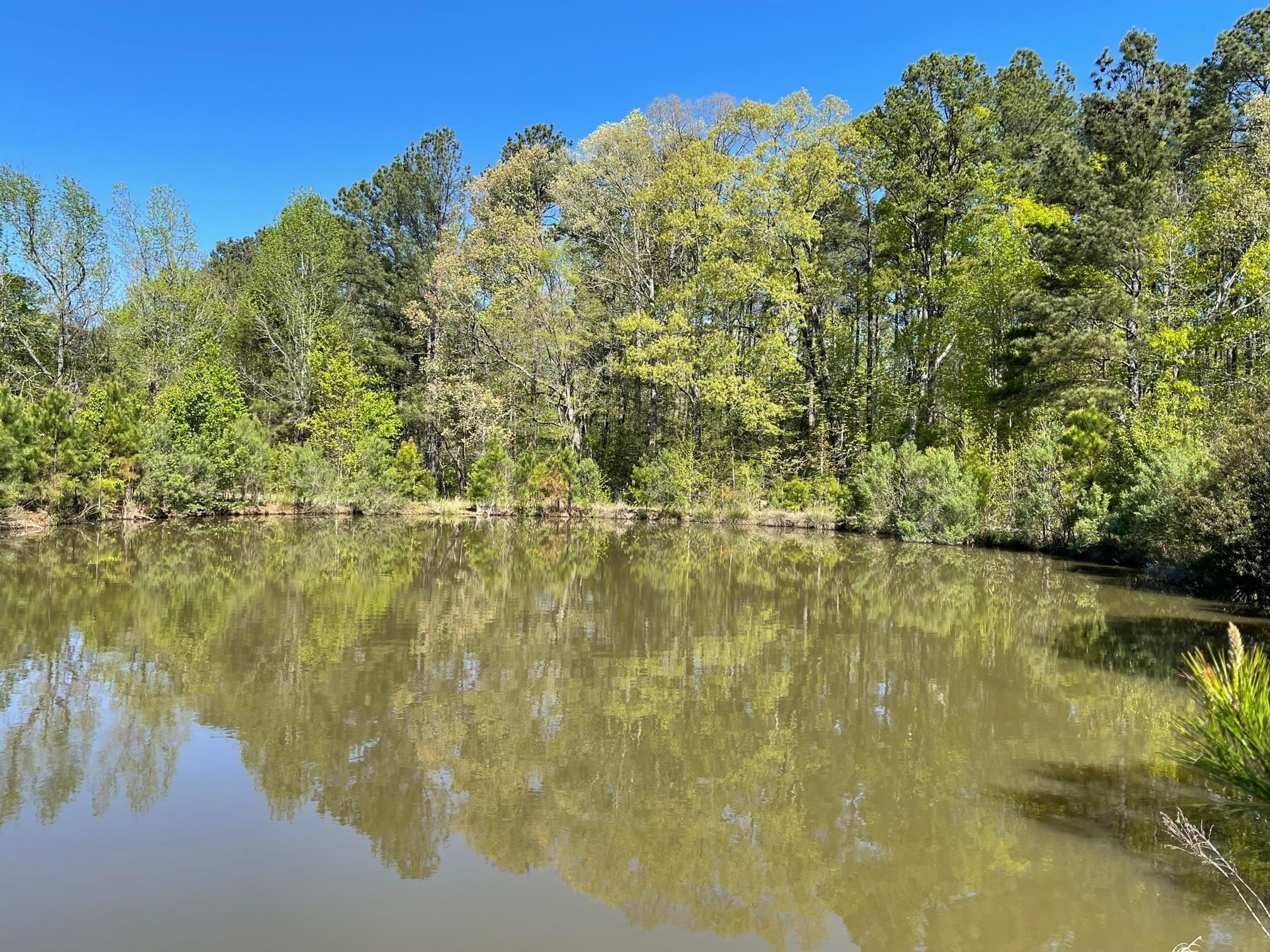 Lot 2 Farrington Point Road Chapel Hill, NC 27517 - Photo 4 of 10 Photo 4