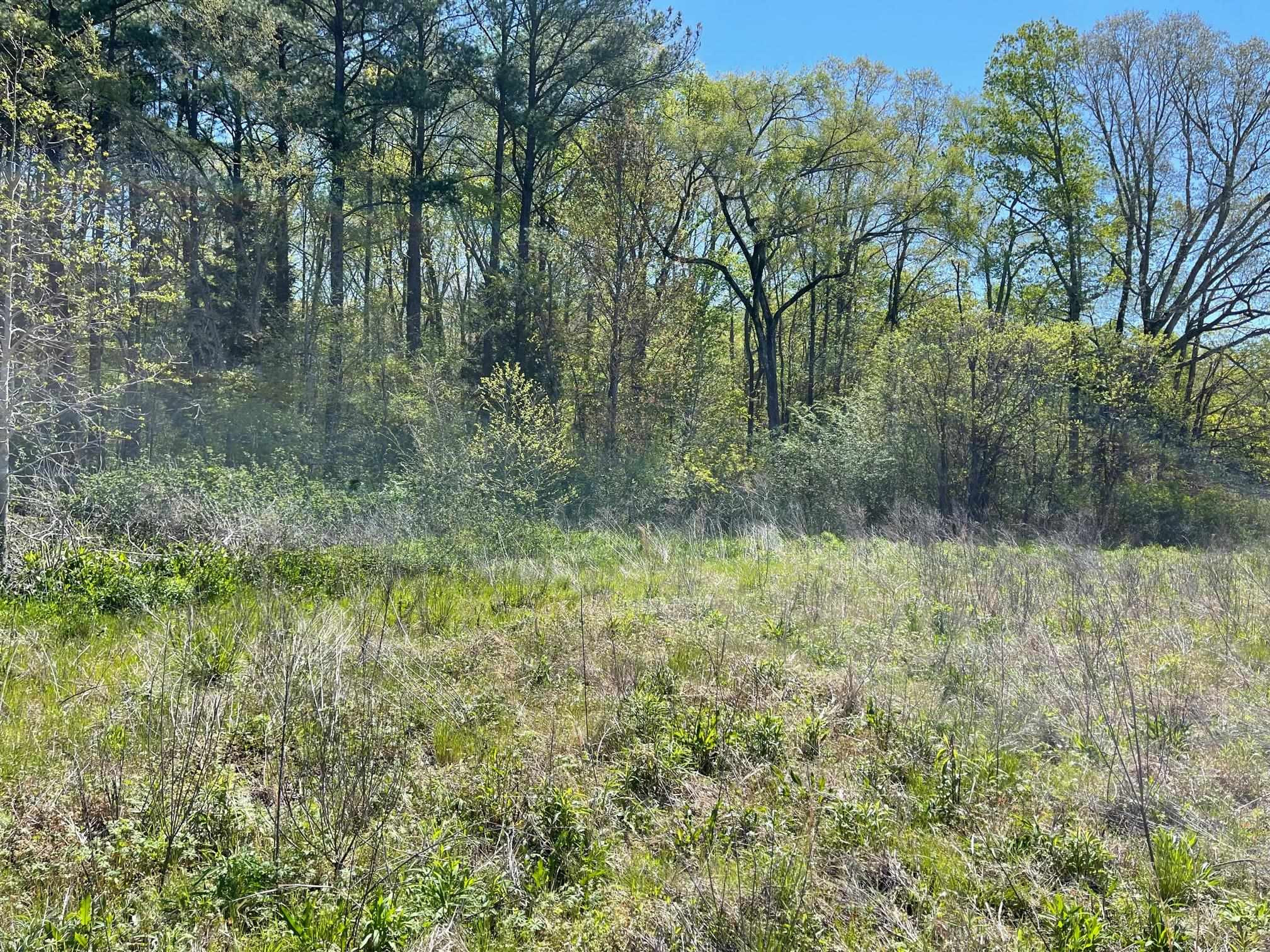 Lot 2 Farrington Point Road Chapel Hill, NC 27517 - Photo 5 of 10 Photo 5