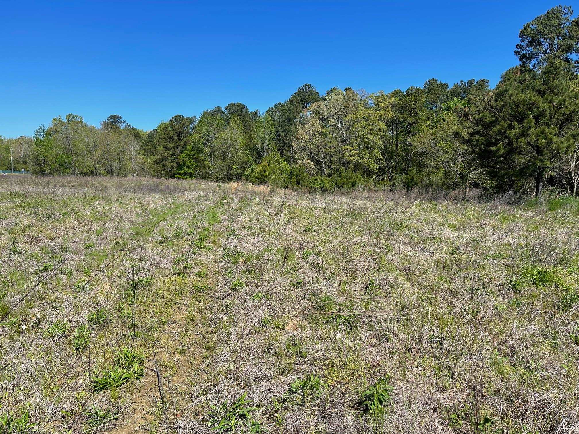 Lot 2 Farrington Point Road Chapel Hill, NC 27517 - Photo 8 of 10 Photo 8