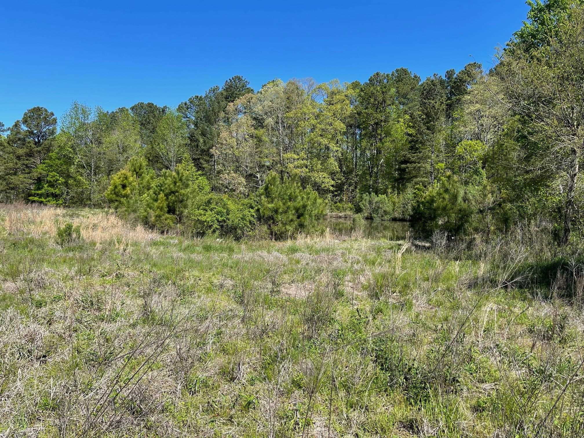Lot 2 Farrington Point Road Chapel Hill, NC 27517 - Photo 9 of 10 Photo 10