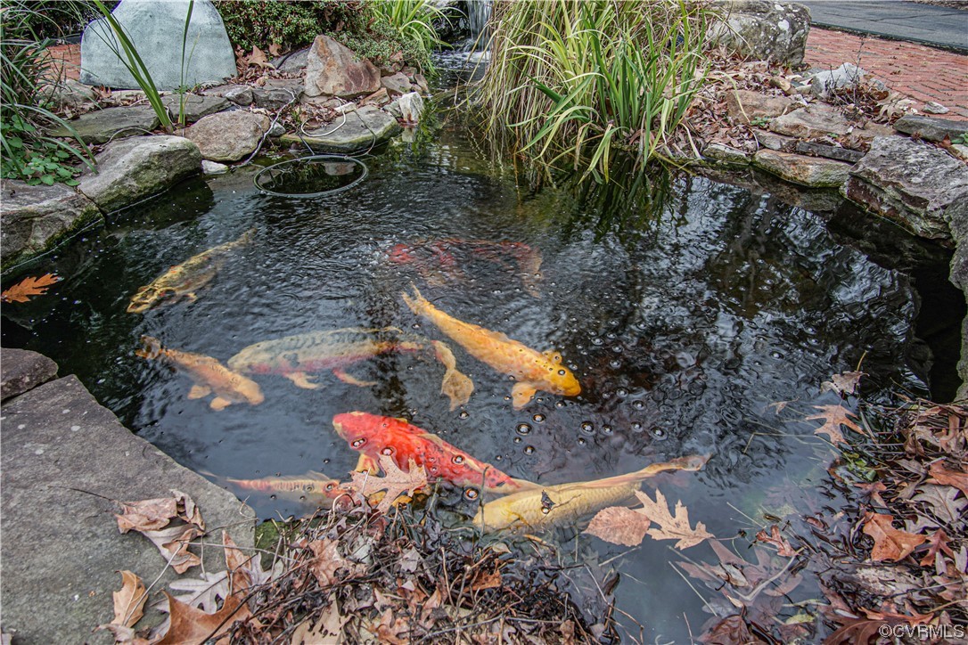 103 Overlook Drive Williamsburg, VA 23185 - Photo 12 of 50 a view of a tree with yard