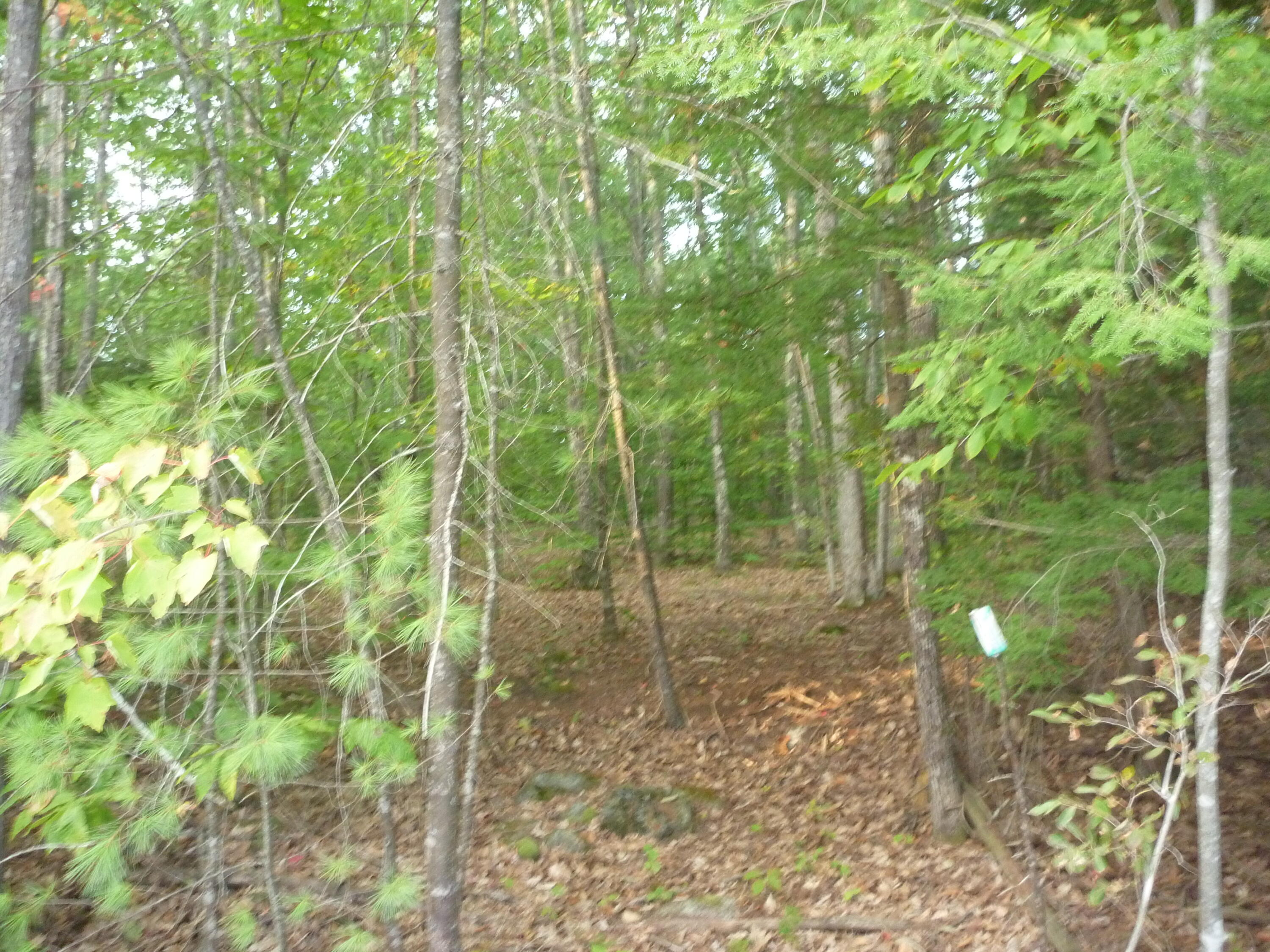 48 A Blueberry Road Waterboro, ME 04087 - Photo 6 of 14 P1160054