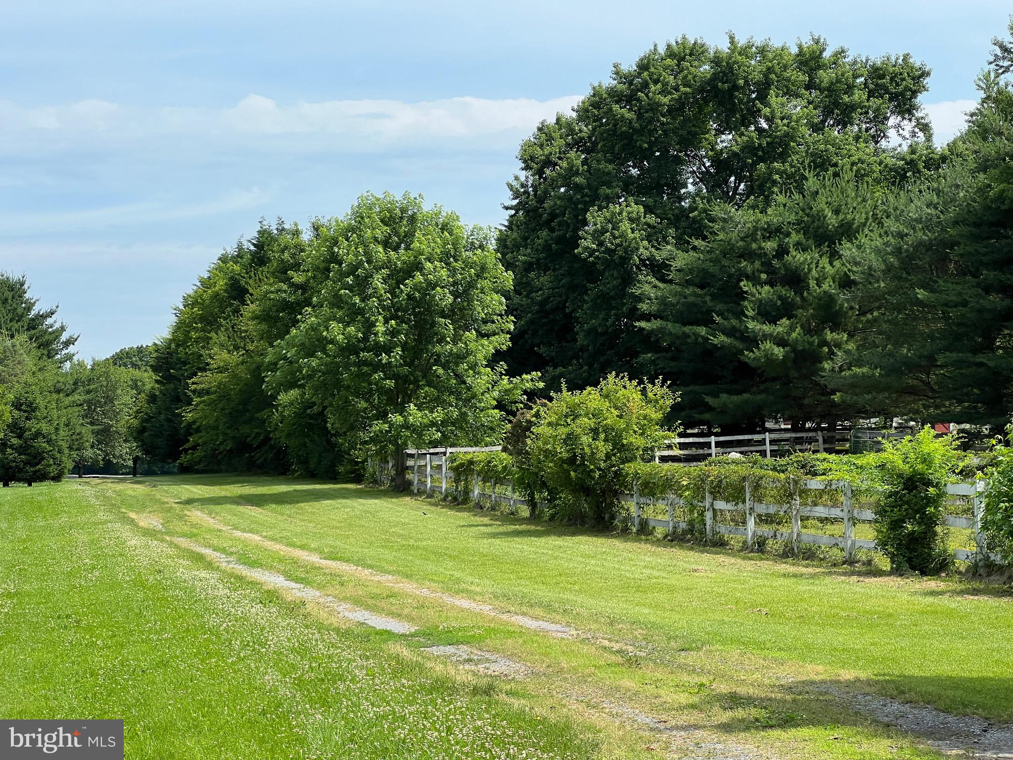 63 White Pine Road Chesterfield, NJ 08515 - Photo 2 of 15
