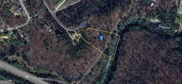 a view of an outdoor space with a tree