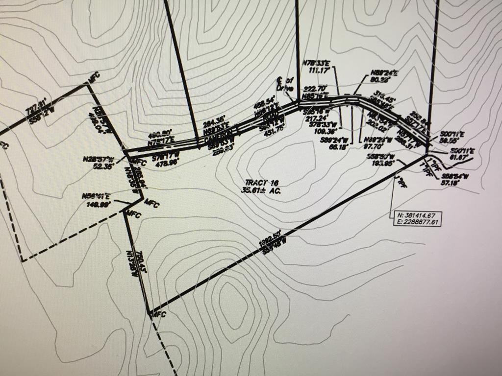 0 Tract 16 35.61 Acres Cameron Decatur, TN 37322 - Photo 2 of 2