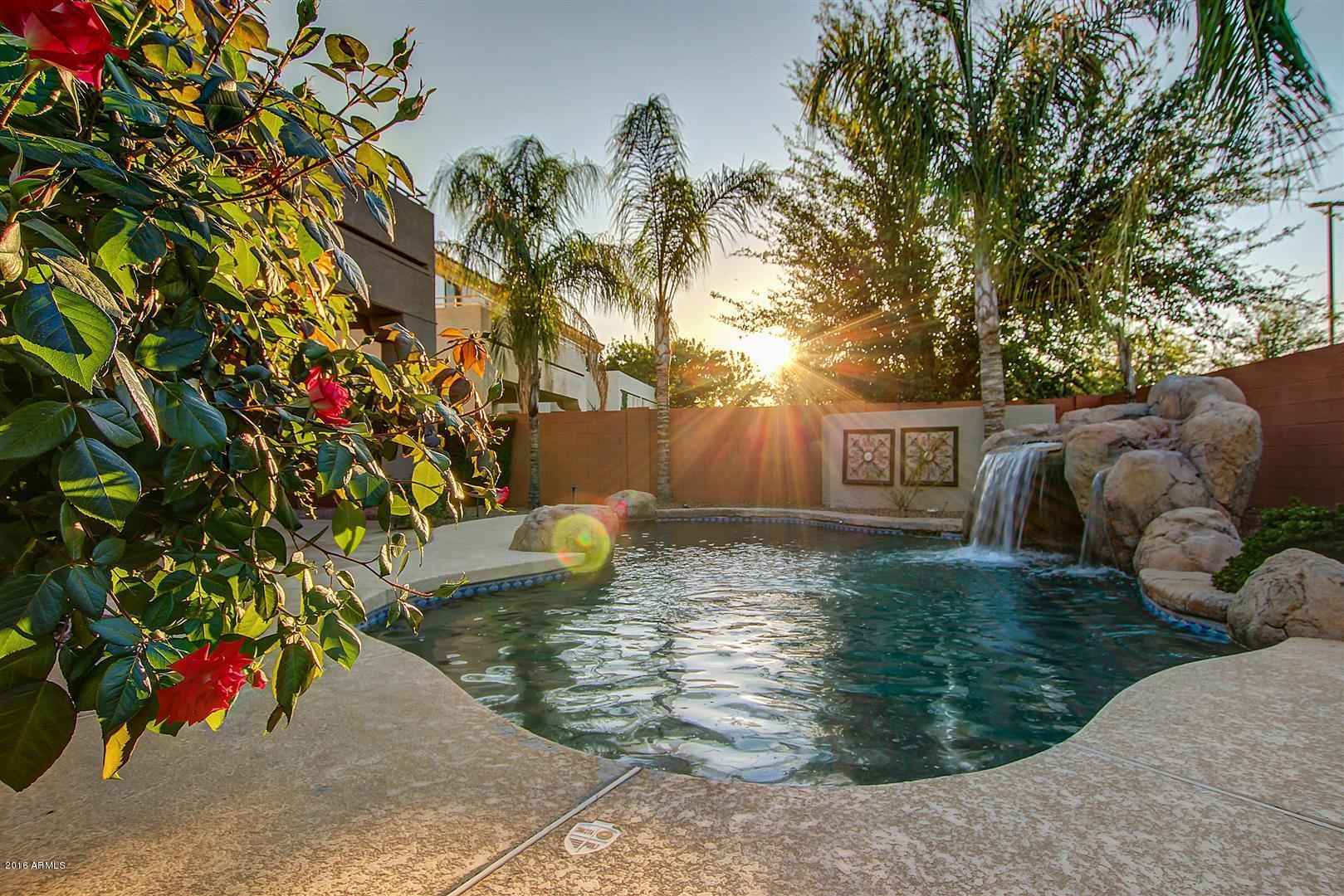 4504 East Reins Road Gilbert, AZ 85297 - Photo 48 of 75 0079-Reins (80)
