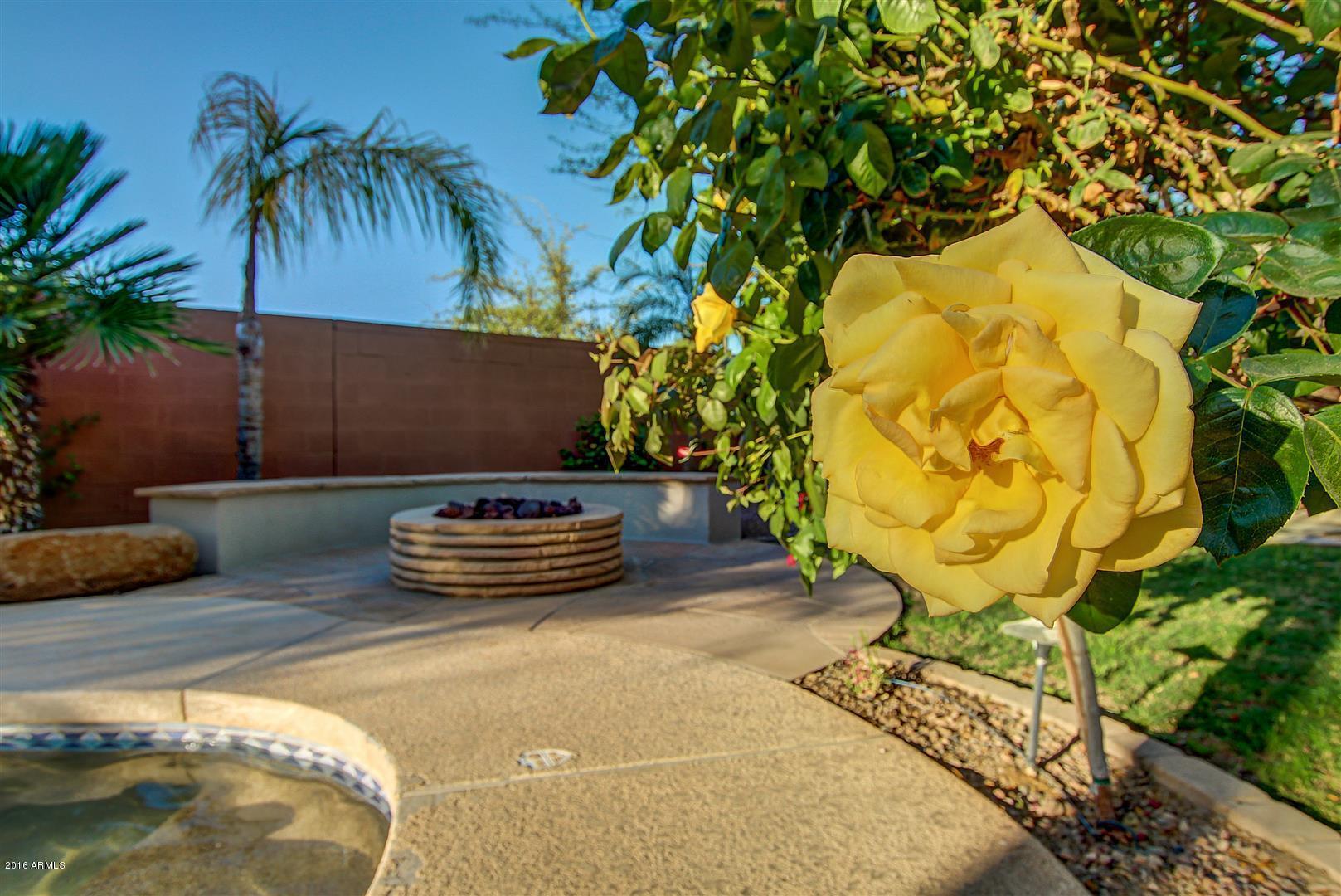 4504 East Reins Road Gilbert, AZ 85297 - Photo 55 of 75 0071-Reins (71)