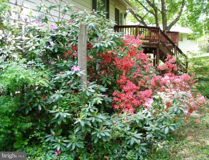 2542 Rambling Road Vienna, VA 22181 - Photo 12 of 24 Exterior (General)