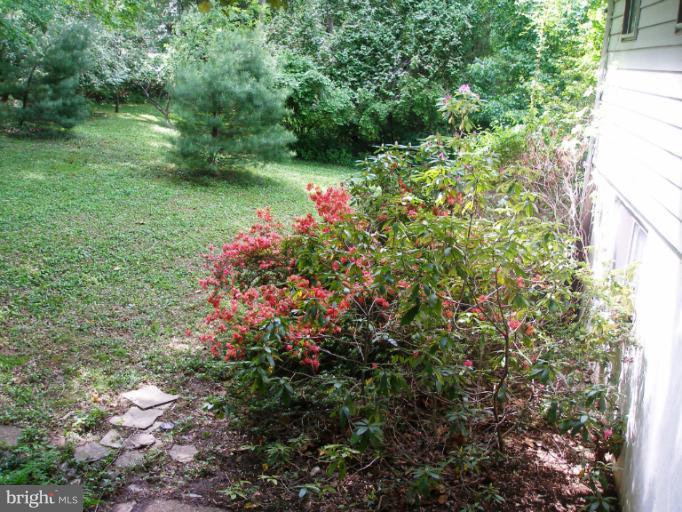 2542 Rambling Road Vienna, VA 22181 - Photo 15 of 24 View