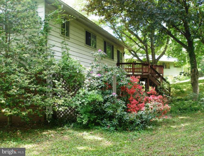 2542 Rambling Road Vienna, VA 22181 - Photo 10 of 24 Exterior (Rear)