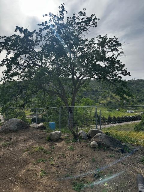 35312 George Smith Road Squaw Valley, CA 93675 - Photo 11 of 39 a view of a outdoor space
