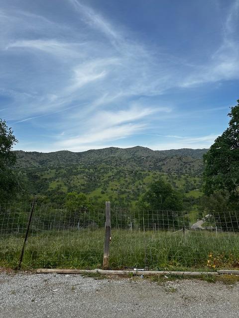 35312 George Smith Road Squaw Valley, CA 93675 - Photo 21 of 39 a view of a yard with a tree