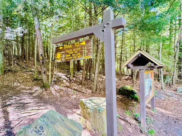 a view of a flower in a garden