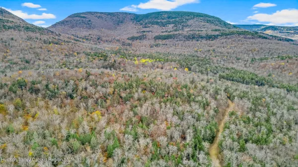a view of a lush green field with lots of bushes