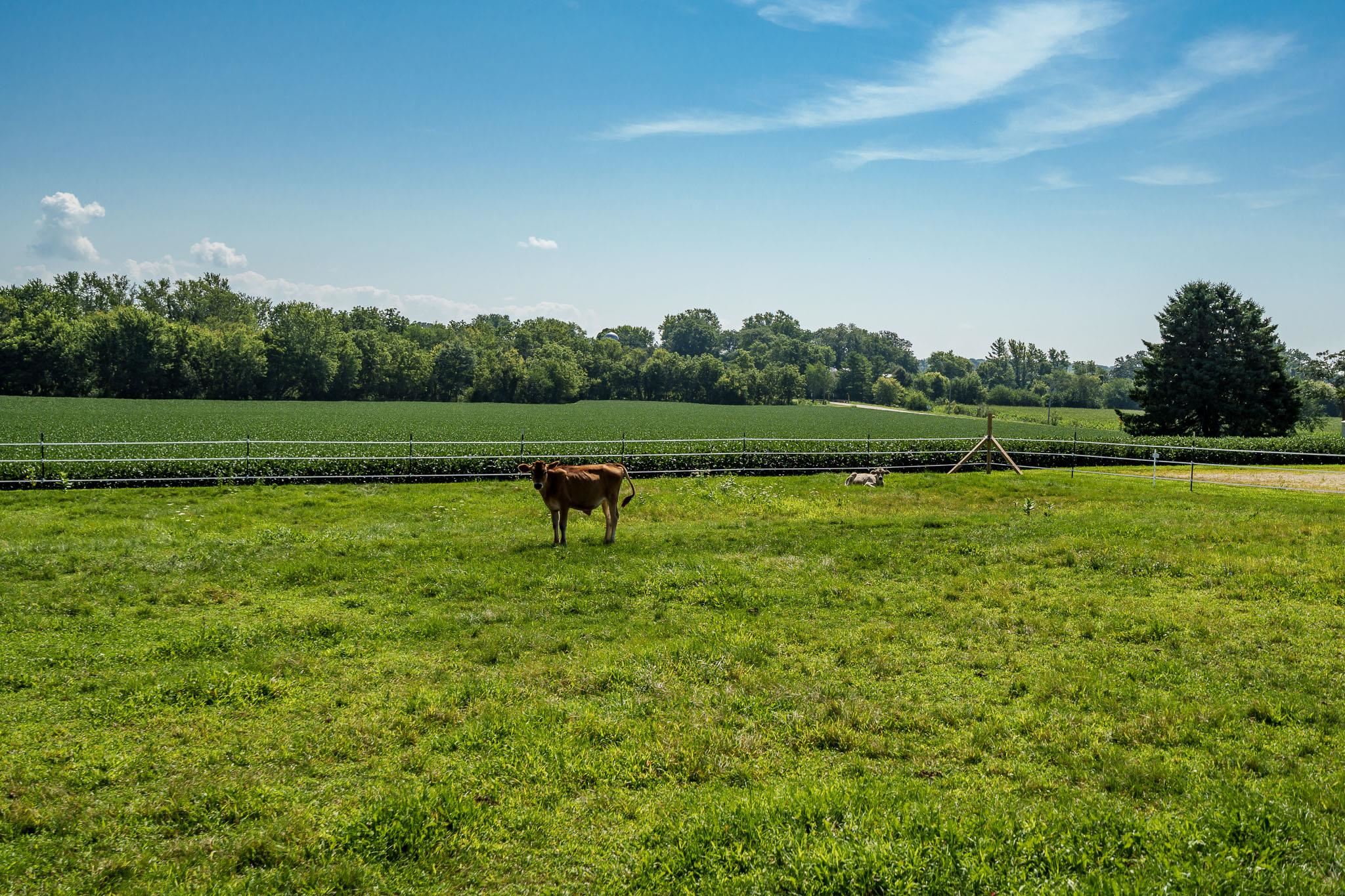 3021 North Dakota Road Freeport, IL 61032 - Photo 29 of 44 a view of a golf course with a park