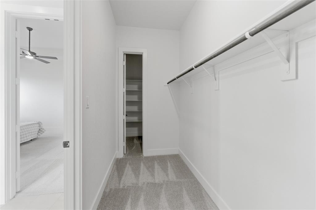 2433 Meteor Drive Krum, TX 76249 - Photo 20 of 29 Spacious walk-in closet featuring a hanging rod, shelving, and light gray patterned carpeting