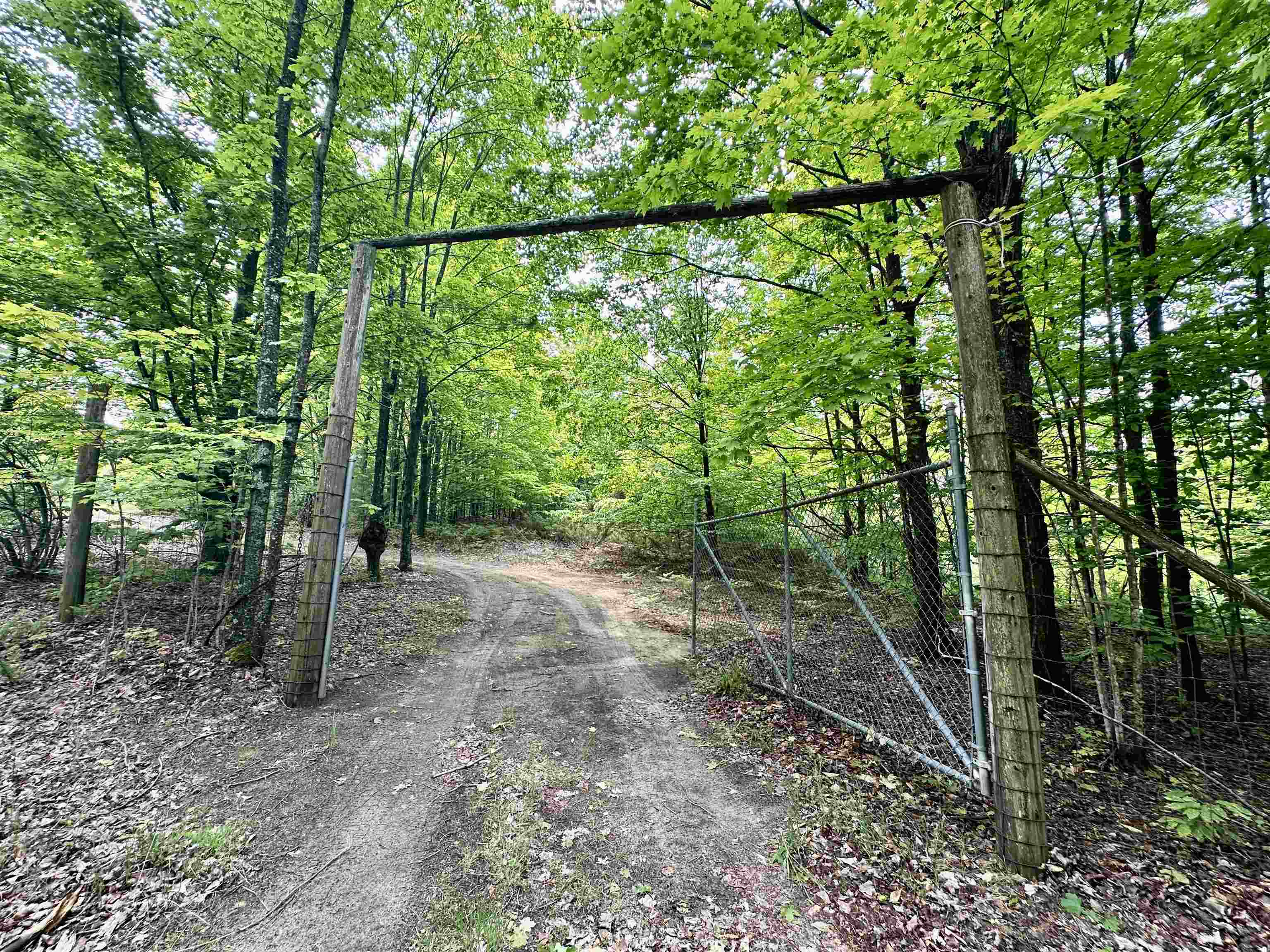 90-acres East Otto Road Suttons Bay, MI 49682 - Photo 7 of 68 Gallery Image 7