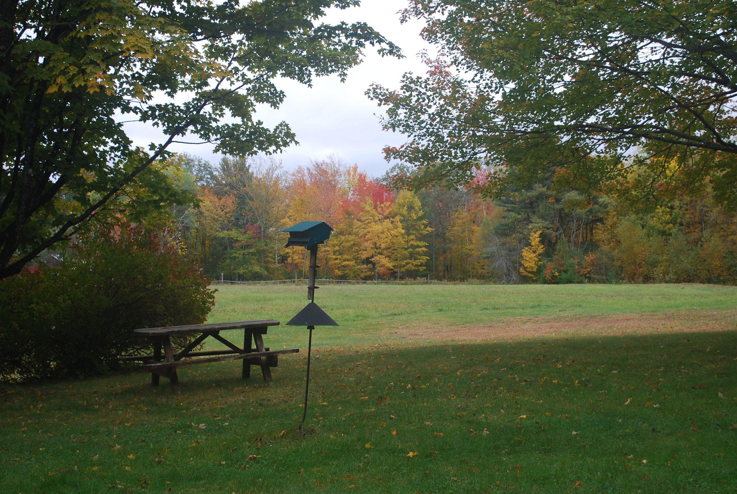 943 North Mountain Road Jefferson, ME 04348 - Photo 39 of 41 View across field early autumn