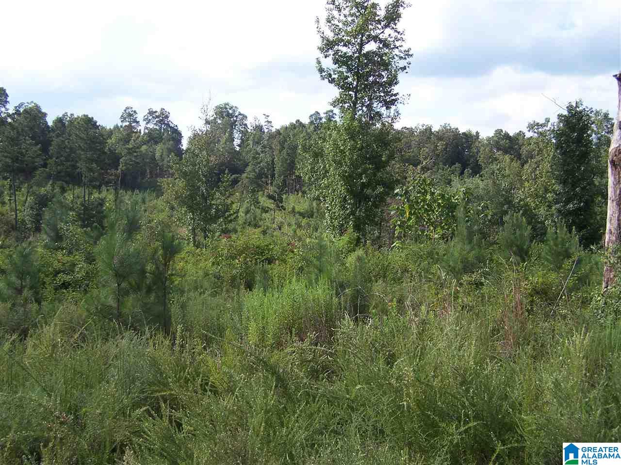 0 Jackson Trail, Unit 140 ACRES Altoona, AL 35952 - Photo 49 of 50