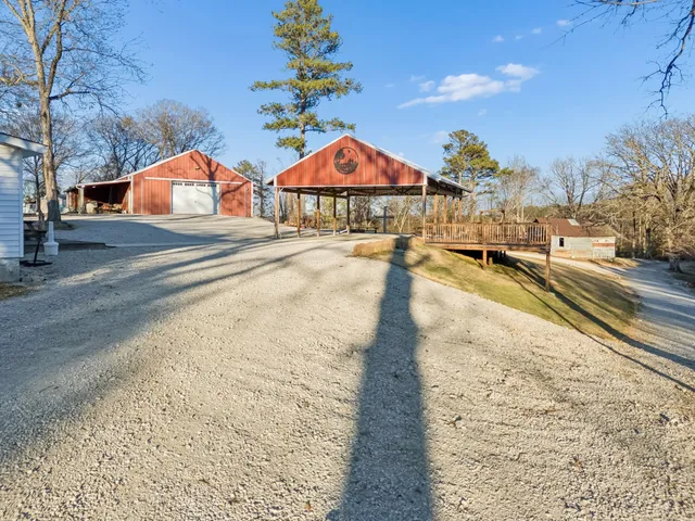 a view of a forest filled with trees
