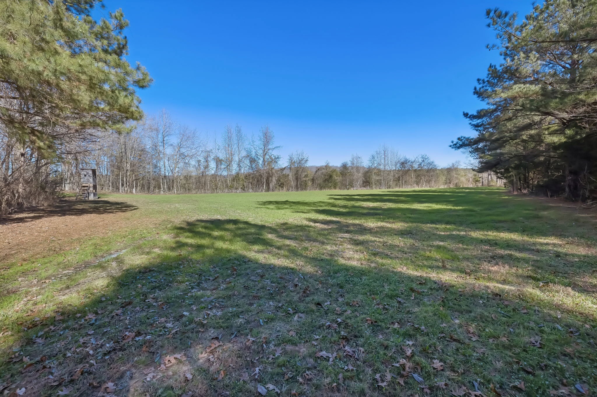 3400 Allsboro Road Cherokee, AL 35616 - Photo 70 of 100 a view of outdoor space with trees all around